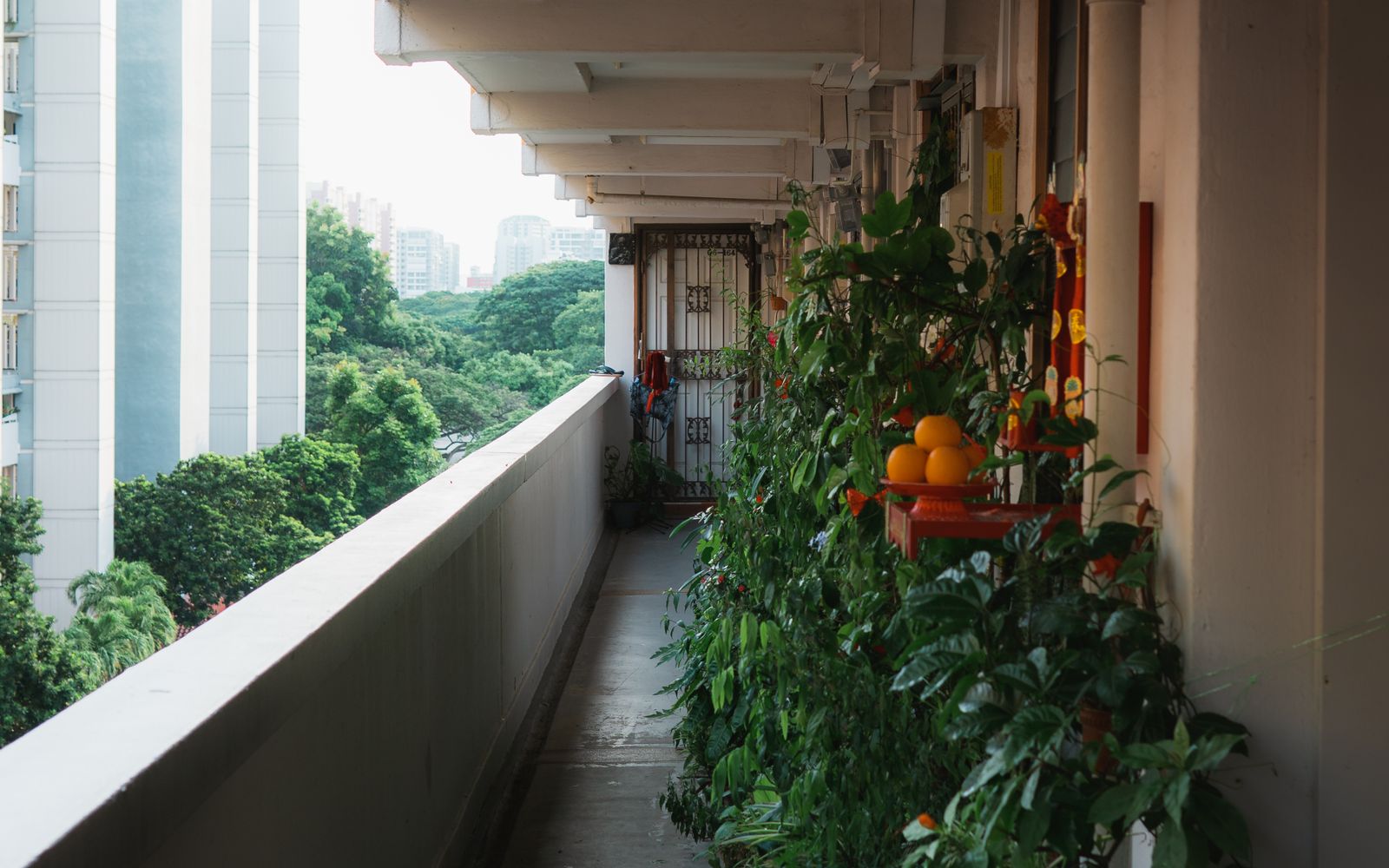 Sky garden di lantai atap